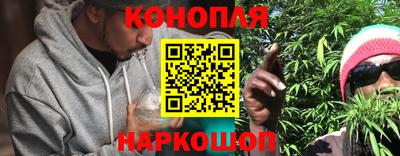 стафф Коммунар