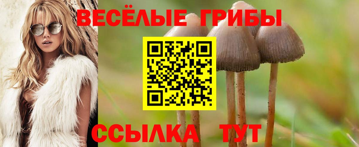 Псилоцибиновые грибы прущие грибы  Псилоцибиновые грибы Psilocybine cubensis  Вход с VPN  Кизилюрт 